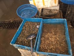 -众彩物流水产市场