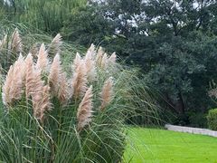 -昆山城市生态森林公园