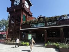-永定河休闲森林公园