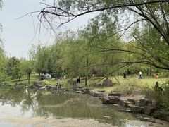 -上海滨江森林公园