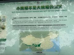-都江堰中华大熊猫苑