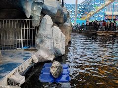 -华夏文旅海洋公园