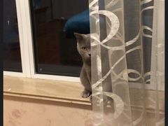 -星巴克(南通海安文峰大世界店)