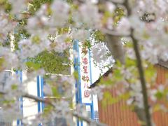 -上海松江区迪笙幼儿园