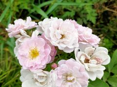 -白鹭湾湿地公园