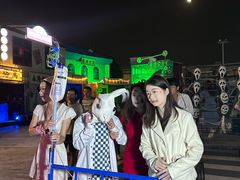 -巨鹏飞梦幻海岸
