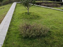 -白塘生态植物园
