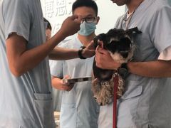 -谐和贝康宠物医院24小时·宠保定点(急重症转诊中心)