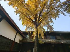 -成都市文殊院