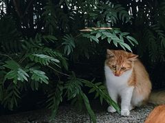 -烈士陵园(地铁站)