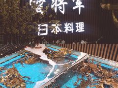 -蟹将军·松叶蟹和牛日料放题自助(K11店)