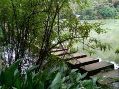 -桤木河湿地公园