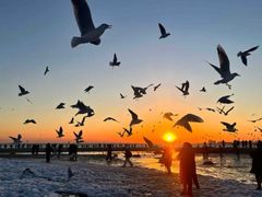 -老虎石海上公园