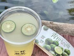 -一杯潮茶·专注潮汕茶饮(朝阳庄店)