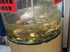 -仙螺岛海鲜自助餐厅(总店)