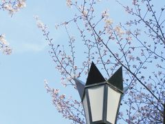 -鸡鸣寺