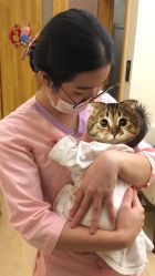 -莉泽月子中心(凯旋江景店)