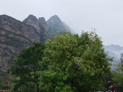 -大岭沟猕猴桃谷风景区