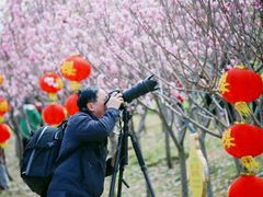 -天适樱花悠乐园