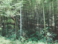 -黄公望隐居地