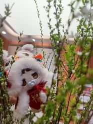 点击看大图 -意施精准塑形普拉提