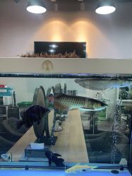 -discovery 发现 hair salon