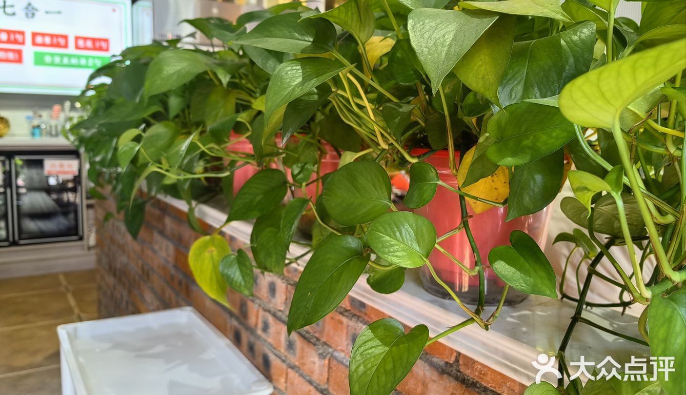 广式餐厅火锅