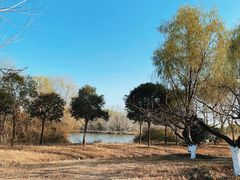 -西安浐灞国家湿地公园
