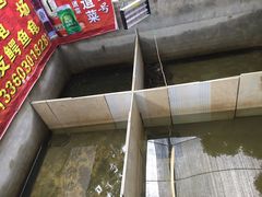 -龟场私房菜