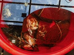 -客家大院·非遗赣南客家菜(郁孤台店)