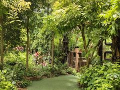 -呀路古热带植物园