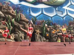 -华夏文旅海洋公园