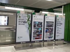 -竹子林(地铁站)