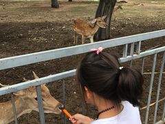 -西安秦岭野生动物园