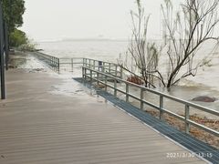 -上海吴淞炮台湾国家湿地公园