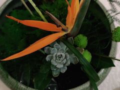 -旺顺阁海鲜广场(亚运村店)