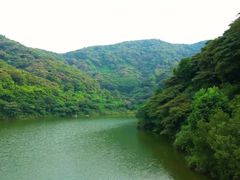 -黄埔油麻山森林公园