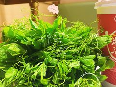 一口脆嫩豌豆尖儿-海底捞火锅(吴中路店)