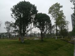 -府河摄影公园