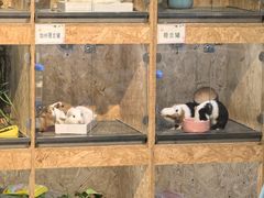 -万达广场(沈阳铁西店)
