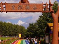 -丰宁坝上草原