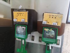 五花茶-公利真料竹蔗水(中环店)