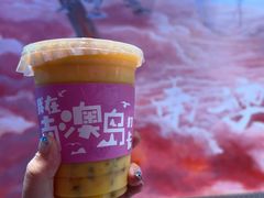-南澳岛打卡果汁冰公司