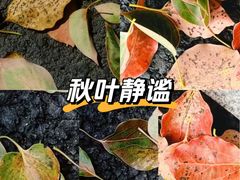 -东莞植物园