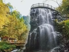 -凤凰山国家森林公园