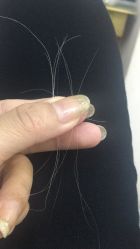 -博士园养发馆