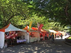 -北海道厅旧本厅舍(旧本庁舎)