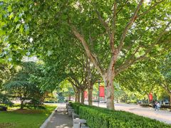 -东华大学(松江校区)