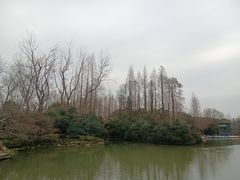 -上海滨江森林公园