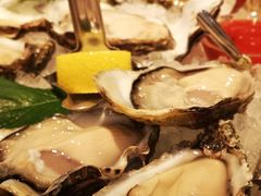 -Oyster Talks 四度蚝法餐厅
